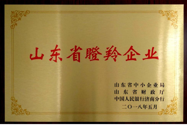 山東省瞪羚企業